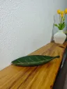 IMG-20260927-WA0030.webp